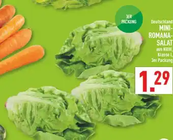 Marktkauf Mini-romana-salat Angebot