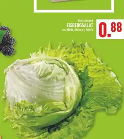 Marktkauf Eisbergsalat Angebot