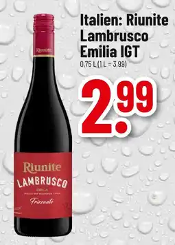 trinkgut Riunite lambrusco emilia igt Angebot