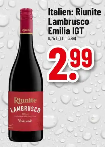 trinkgut Riunite lambrusco emilia igt Angebot