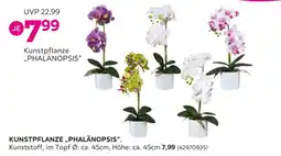 Mömax Kunstpflanze „phalänopsis“ Angebot