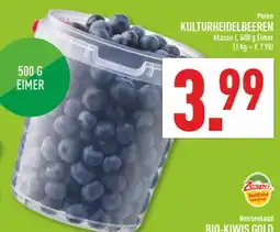 Marktkauf Kulturheidelbeeren Angebot