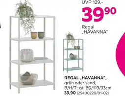 Mömax Regal „havanna“ Angebot