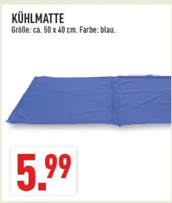 Marktkauf Kühlmatte Angebot