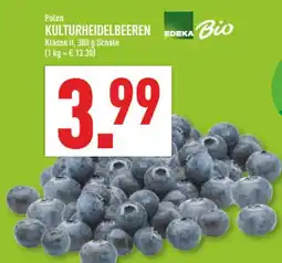 Marktkauf Edeka bio kulturheidelbeeren Angebot