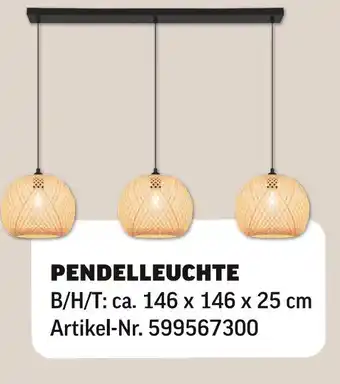 Poco Pendelleuchte Angebot