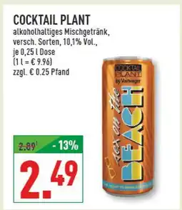 Marktkauf Cocktail plant alkoholhaltiges mischgetränk Angebot