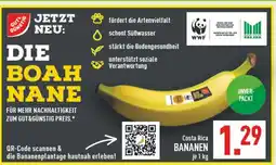 Marktkauf Gut & günstig costa rica bananen Angebot