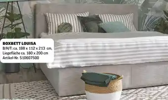 Poco Boxbett louisa Angebot