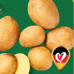 Aldi Nord Back- und Grillkartoffeln Angebot