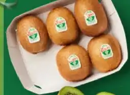 Aldi Nord Zespri Kiwi grün Angebot