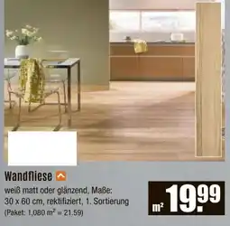 V Baumarkt Wandfliese Angebot