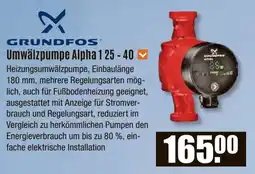 V Baumarkt GRUNDFOS Umwälzpumpe Alpha 125-40 Angebot