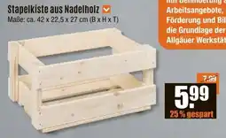 V Baumarkt Stapelkiste aus Nadelholz Angebot