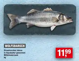 Handelshof WOLFSBARSCH Angebot