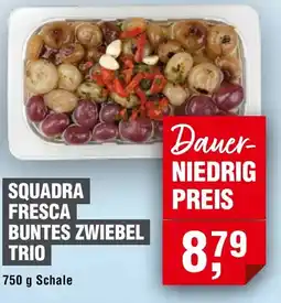 Handelshof SQUADRA FRESCA BUNTES ZWIEBEL TRIO Angebot