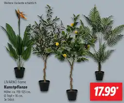 Lidl LIVARNO home Kunstpflanze Angebot