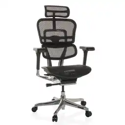 Netto Marken-Discount hjh OFFICE Luxus Chefsessel ERGOHUMAN GEN2 Netzstoff mit Armlehnen (höhenverstellbar) Angebot