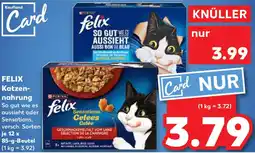 Kaufland FELIX Katzennahrung Angebot