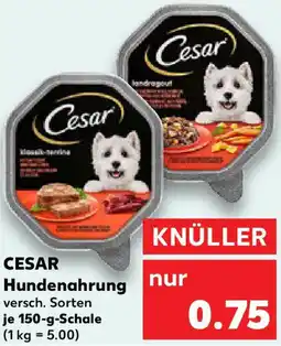 Kaufland CESAR Hundenahrung Angebot
