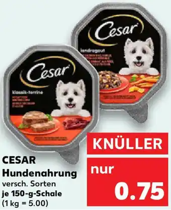 Kaufland CESAR Hundenahrung Angebot