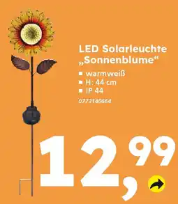 Globus Baumarkt LED Solarleuchte ,,Sonnenblume" Angebot