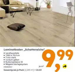 Globus Baumarkt Laminatboden „Schatteneiche" Angebot
