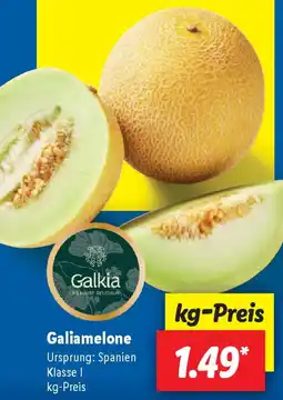 Lidl Galiamelone Angebot