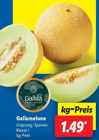 Lidl Galiamelone Angebot