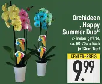 E-Center Orchideen ,,Happy Summer Duo" Angebot
