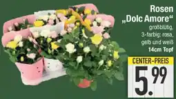E-Center Rosen ,,Dolc Amore" Angebot