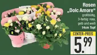 E-Center Rosen ,,Dolc Amore" Angebot