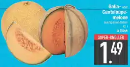 E-Center Galia- oder Cantaloupemelone Angebot