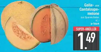E-Center Galia- oder Cantaloupemelone Angebot