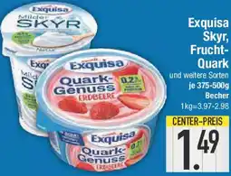E-Center Exquisa Skyr, Frucht Quark Angebot