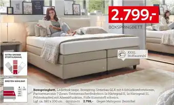 XXXLutz Boxspringbett Angebot