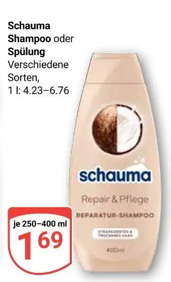 Globus Schauma shampoo Angebot