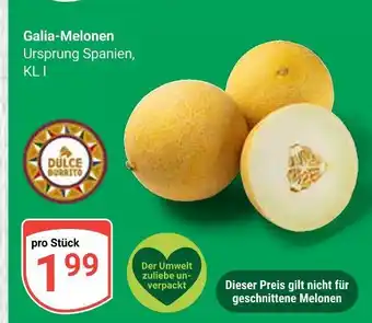 Globus Dulce durato galia-melonen Angebot