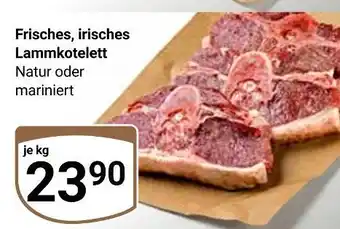 Globus Frisches irisches lammkotelett Angebot