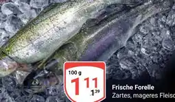 Globus Frische forelle Angebot