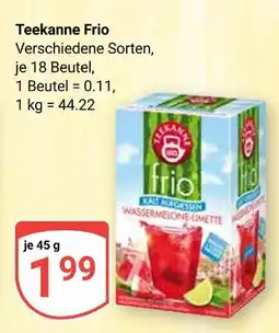 Globus Teekanne frio wassermelone-limette Angebot