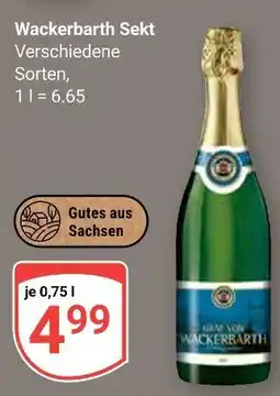 Globus Wackerbarth sekt Angebot