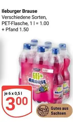 Globus Ileburger brause Angebot