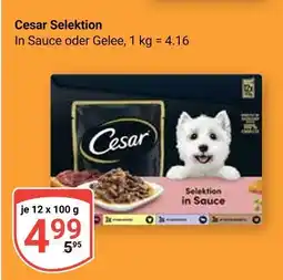 Globus Cesar selektion in sauce Angebot