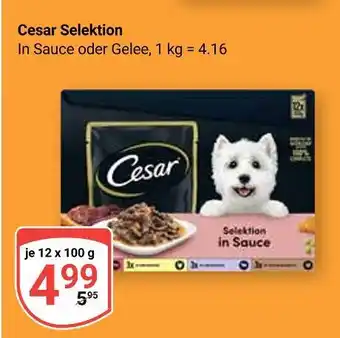 Globus Cesar selektion in sauce Angebot