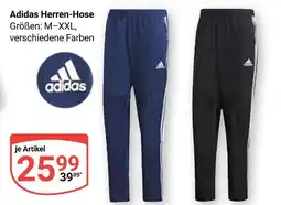 Globus Adidas herren-hose Angebot