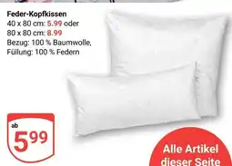 Globus Feder-kopfkissen Angebot