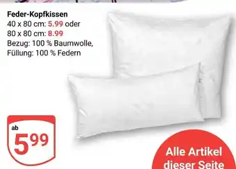 Globus Feder-kopfkissen Angebot
