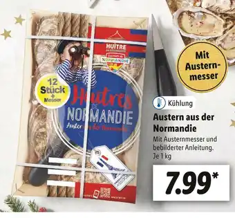 Lidl Austern aus der normandie Angebot