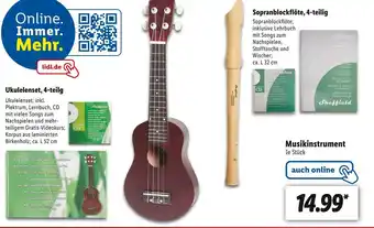 Lidl Musikinstrument Angebot